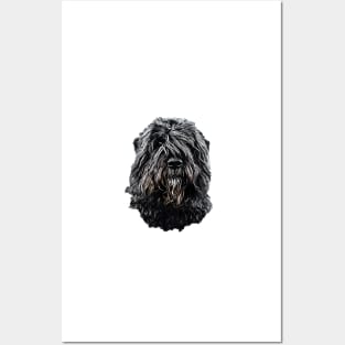 Bouvier des Flandres A stunning Dog breed Posters and Art